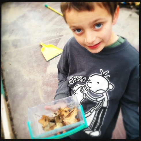 Collin and his bugs, they're besties. :)