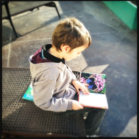 My Little Entomologist - always reading up on insects.